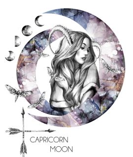Capricorn, zodiac illustration